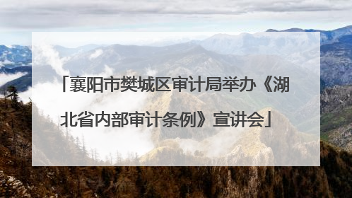 襄阳市樊城区审计局举办《湖北省内部审计条例》宣讲会