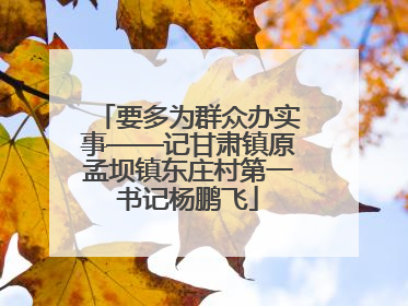 要多为群众办实事——记甘肃镇原孟坝镇东庄村第一书记杨鹏飞