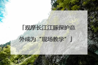 观摩长江江豚保护意外成为“现场教学”