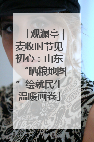 观澜亭｜麦收时节见初心：山东“晒粮地图”绘就民生温暖画卷