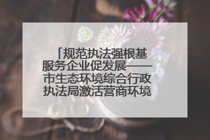 规范执法强根基 服务企业促发展——市生态环境综合行政执法局激活营商环境“绿色动能”