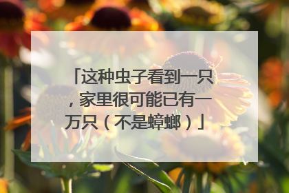 这种虫子看到一只，家里很可能已有一万只（不是蟑螂）