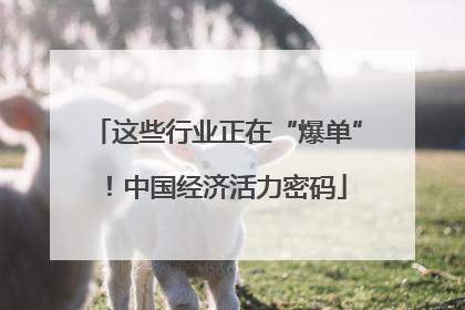 这些行业正在“爆单”！中国经济活力密码