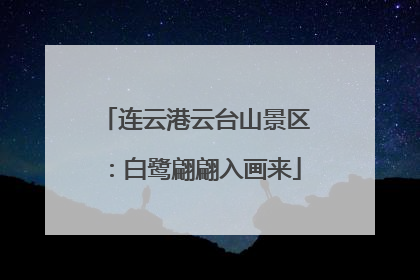 连云港云台山景区：白鹭翩翩入画来