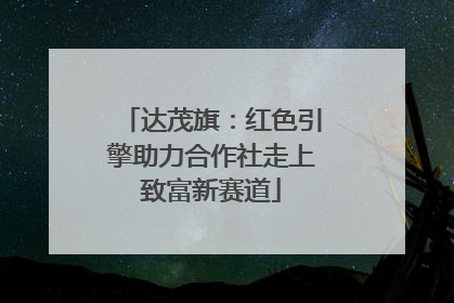 达茂旗：红色引擎助力合作社走上致富新赛道