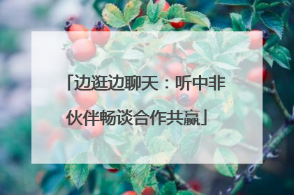 边逛边聊天：听中非伙伴畅谈合作共赢