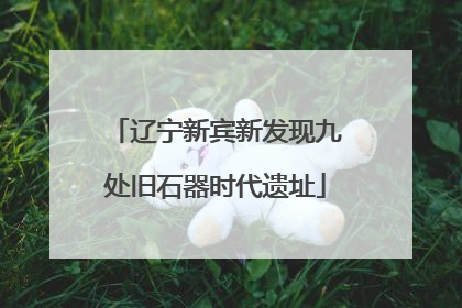 辽宁新宾新发现九处旧石器时代遗址