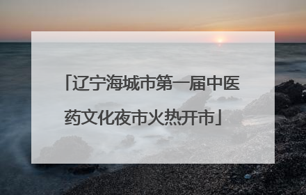 辽宁海城市第一届中医药文化夜市火热开市