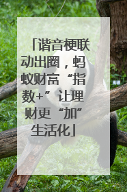 谐音梗联动出圈，蚂蚁财富“指数+”让理财更“加”生活化