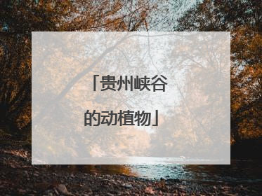 贵州峡谷的动植物