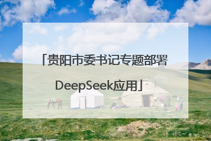 贵阳市委书记专题部署DeepSeek应用