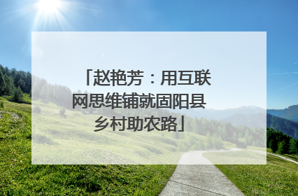 赵艳芳：用互联网思维铺就固阳县乡村助农路