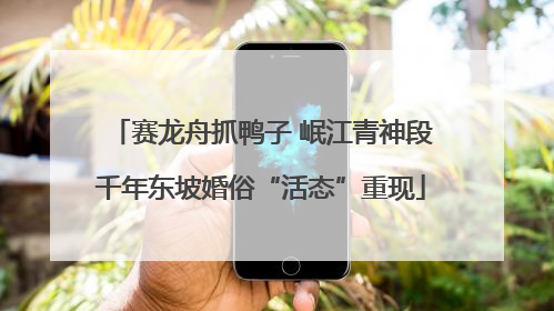 赛龙舟抓鸭子 岷江青神段千年东坡婚俗“活态”重现