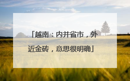 越南：内并省市，外近金砖，意思很明确