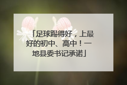 足球踢得好，上最好的初中、高中！一地县委书记承诺