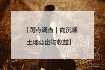 蹲点调查｜向沉睡土地要亩均收益