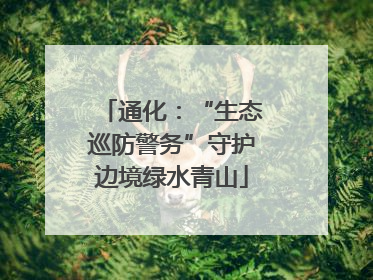通化：“生态巡防警务”守护边境绿水青山