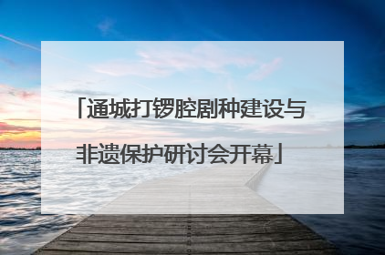 通城打锣腔剧种建设与非遗保护研讨会开幕
