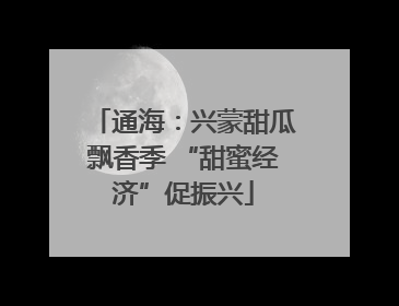 通海：兴蒙甜瓜飘香季 “甜蜜经济”促振兴
