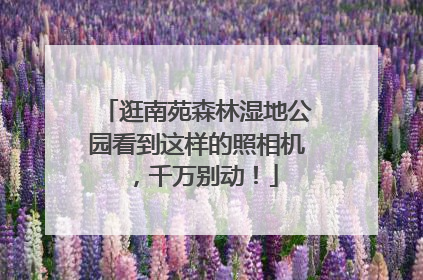 逛南苑森林湿地公园看到这样的照相机，千万别动！