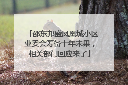 邵东邦盛凤凰城小区业委会筹备十年未果，相关部门回应来了