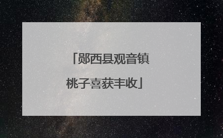 郧西县观音镇桃子喜获丰收