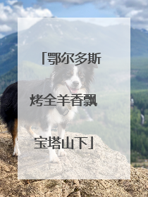 鄂尔多斯烤全羊香飘宝塔山下