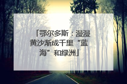 鄂尔多斯：漫漫黄沙渐成千里“蓝海”和绿洲