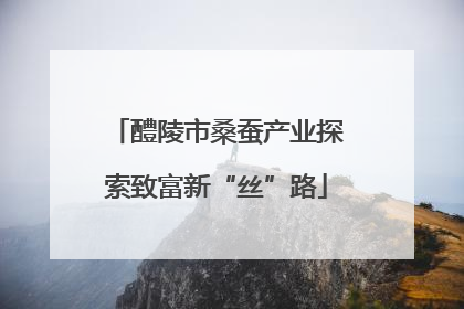 醴陵市桑蚕产业探索致富新“丝”路