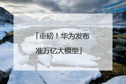 重磅！华为发布准万亿大模型
