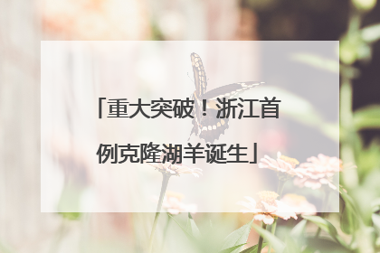 重大突破！浙江首例克隆湖羊诞生