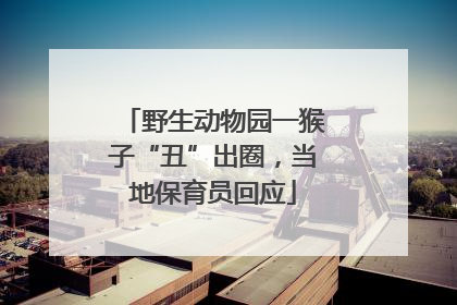 野生动物园一猴子“丑”出圈，当地保育员回应