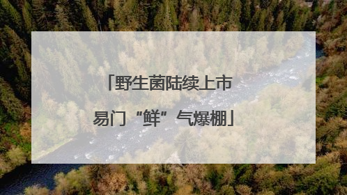野生菌陆续上市 易门“鲜”气爆棚