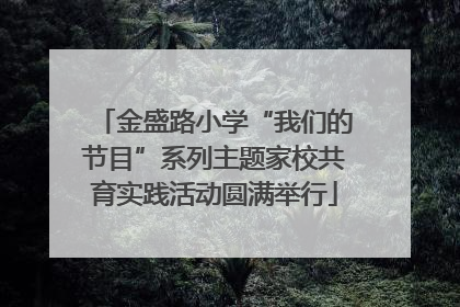 金盛路小学“我们的节目”系列主题家校共育实践活动圆满举行