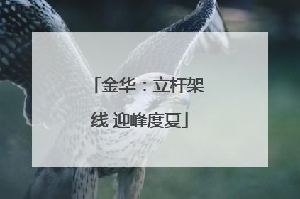 金华：立杆架线 迎峰度夏