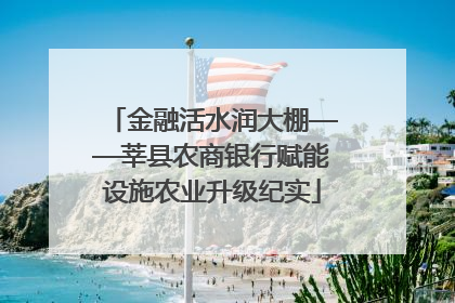 金融活水润大棚——莘县农商银行赋能设施农业升级纪实