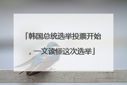 韩国总统选举投票开始，一文读懂这次选举