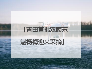 青田首批双膜东魁杨梅迎来采摘