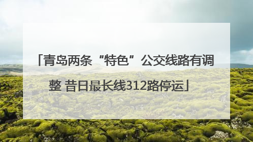 青岛两条“特色”公交线路有调整 昔日最长线312路停运