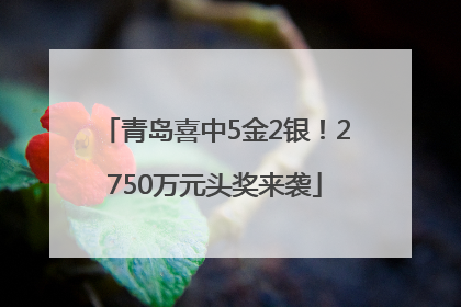 青岛喜中5金2银！2750万元头奖来袭