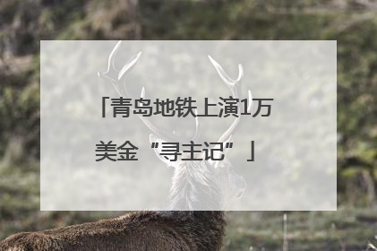 青岛地铁上演1万美金“寻主记”