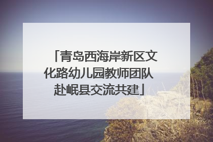 青岛西海岸新区文化路幼儿园教师团队赴岷县交流共建