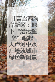 青岛西海岸新区：地下“治污堡垒”崛起 大卢河中水厂绘就城市绿色新图景