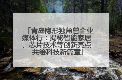 青岛隐形独角兽企业媒体行：揭秘智能家居、芯片技术等创新亮点 共绘科技新篇章