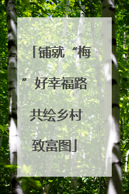 铺就“梅”好幸福路 共绘乡村致富图