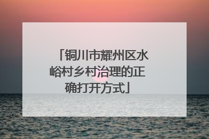铜川市耀州区水峪村乡村治理的正确打开方式