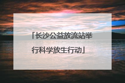 长沙公益放流站举行科学放生行动