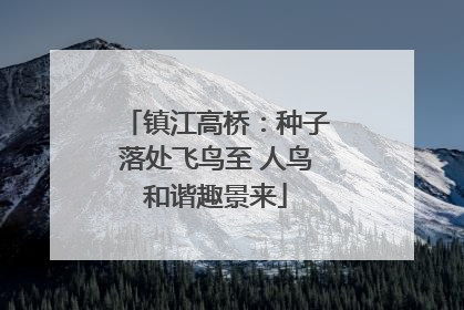 镇江高桥：种子落处飞鸟至 人鸟和谐趣景来