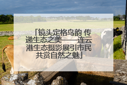 镜头定格鸟韵 传递生态之美——连云港生态摄影展引市民共赏自然之魅