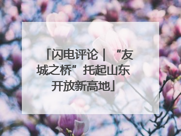 闪电评论｜“友城之桥”托起山东开放新高地